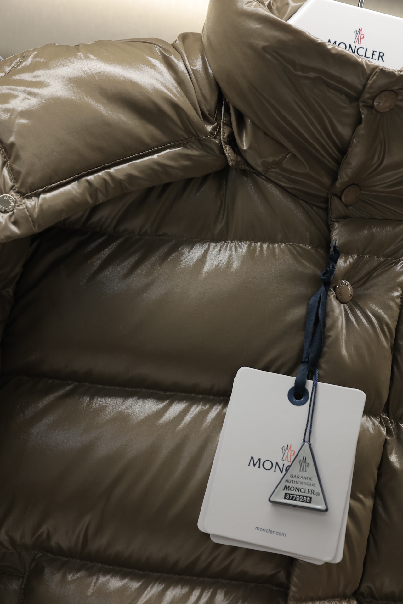 Moncler Down Jackets